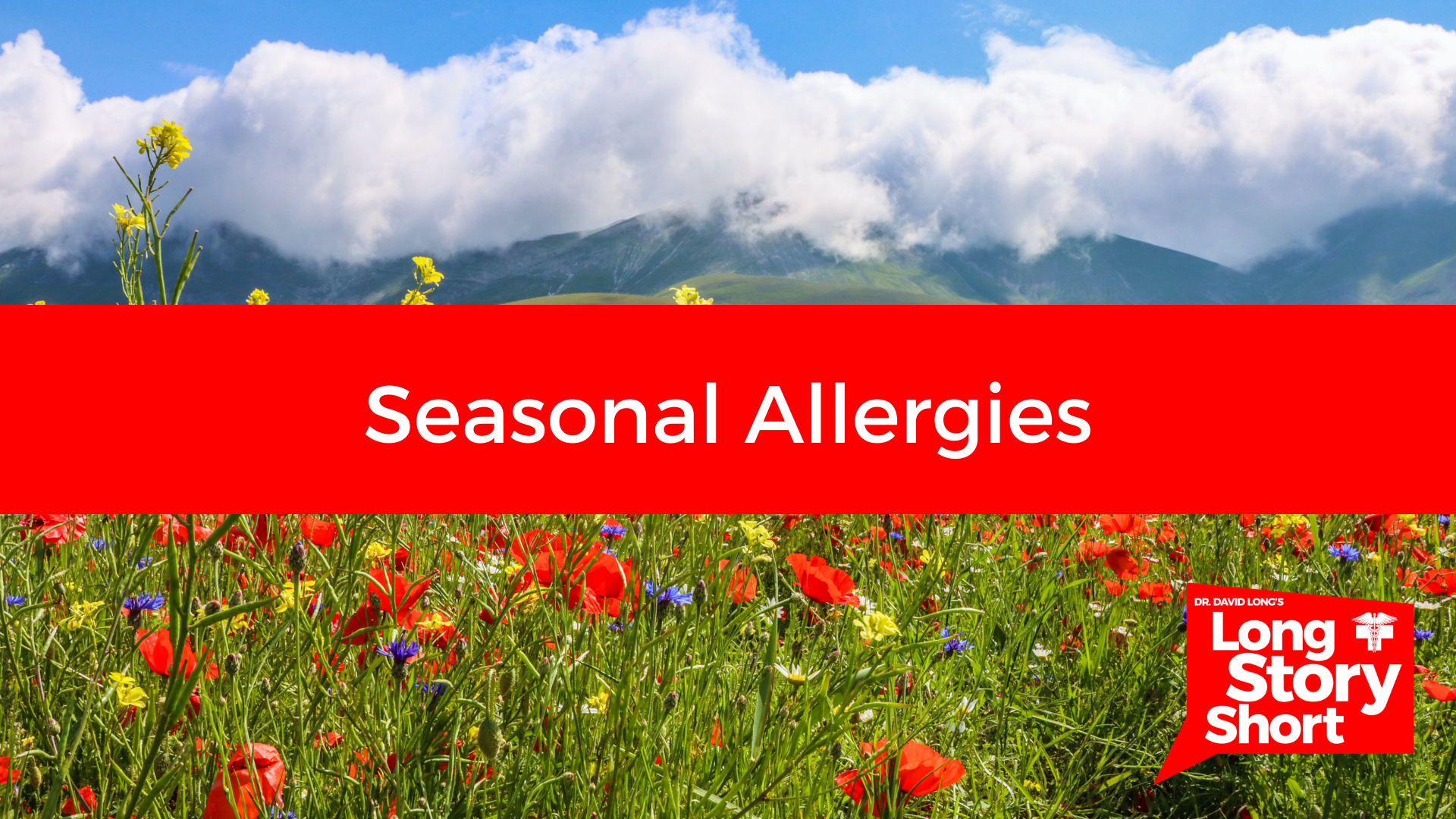 Read more about the article Seasonal Allergies – Dr. David Long