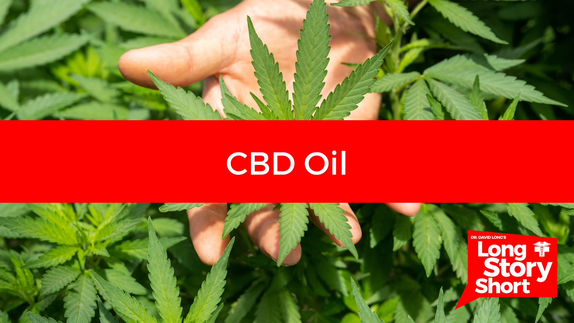You are currently viewing CBD Oil – Dr. David Long