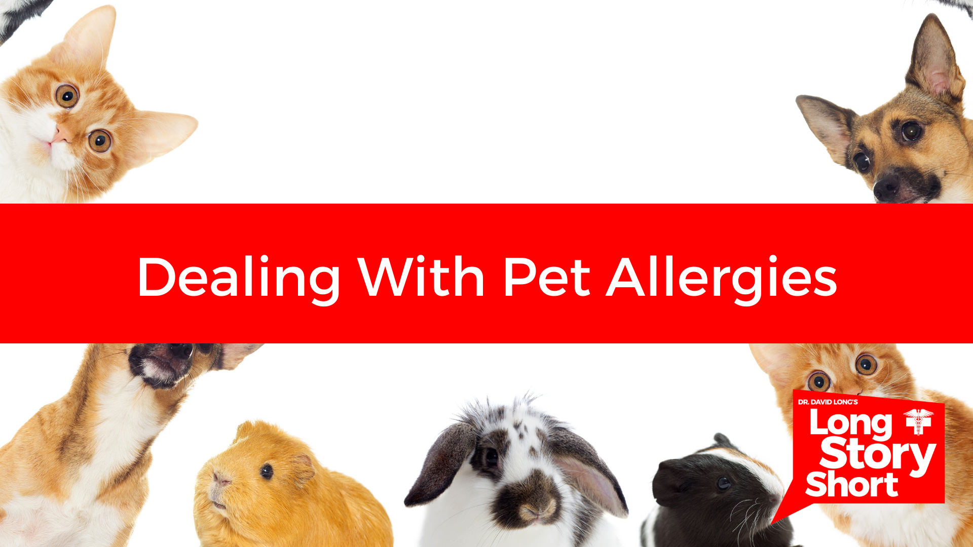You are currently viewing Dealing with Pet Allergies – Dr. David Long