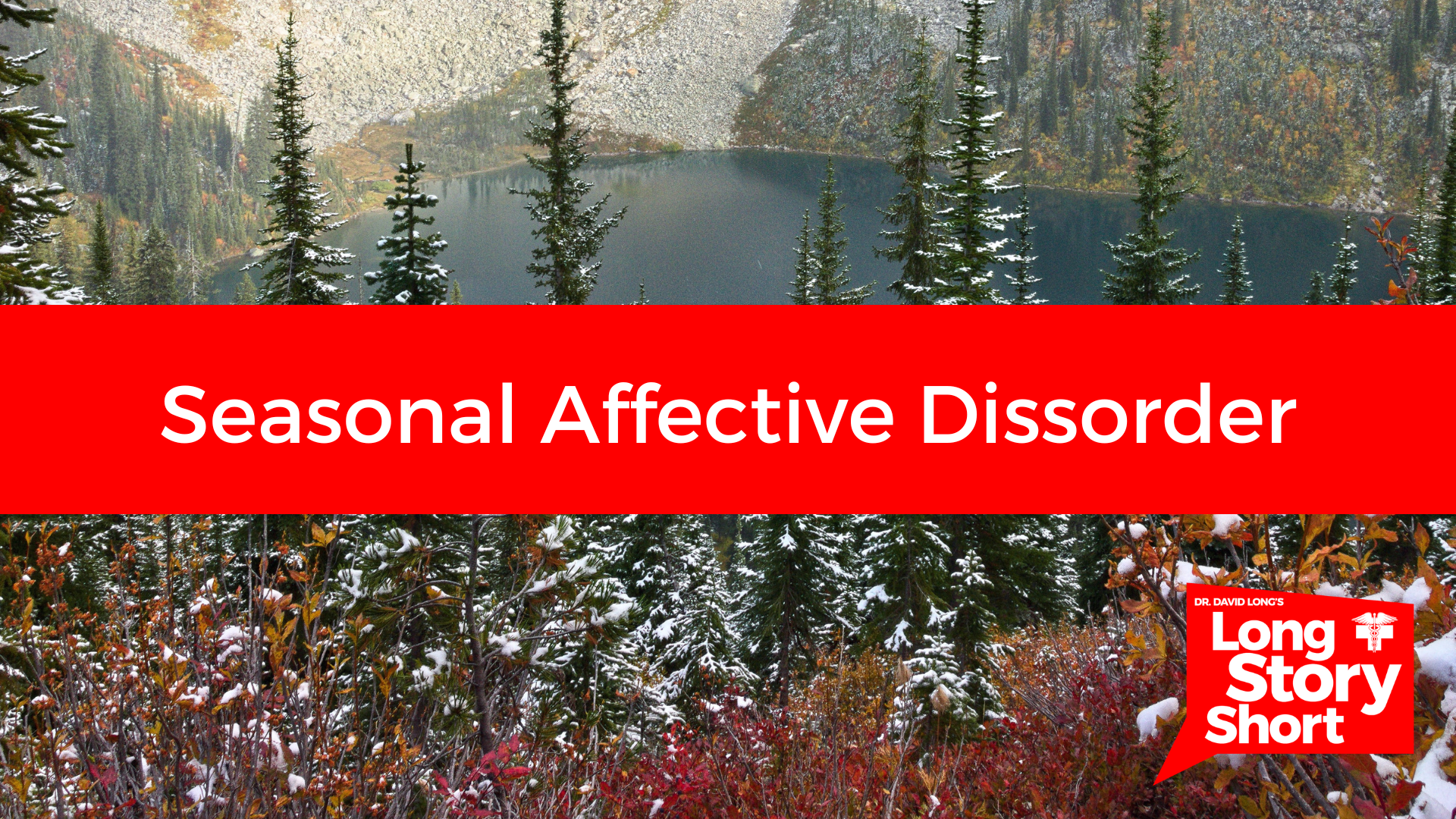 Read more about the article Seasonal Affective Disorder – Dr. David Long
